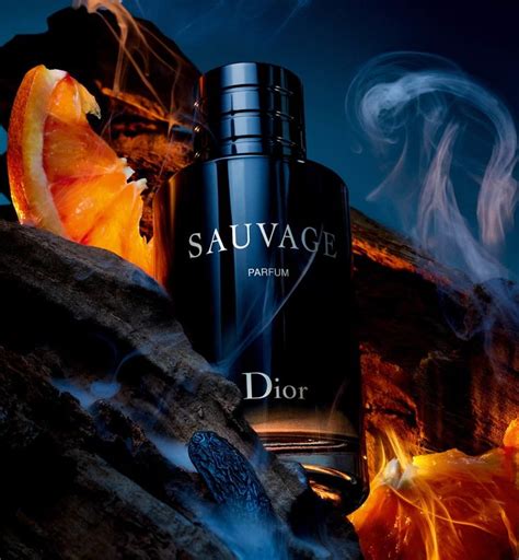 昇 恆 昌 dior 香水|DIOR 香氛&香水推薦：Sauvage 曠野之心香精 奢華狂野的香氣.